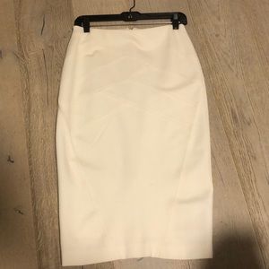 Express skirt